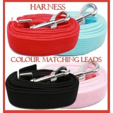 Harness Colour Matching leads